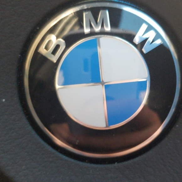 Meet your Posher, Moose - Picture 2 of 2